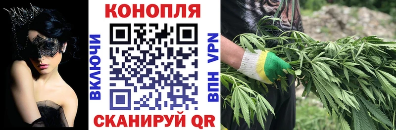 Купить где  Большой Камень  МАРИХУАНА THC 21% 